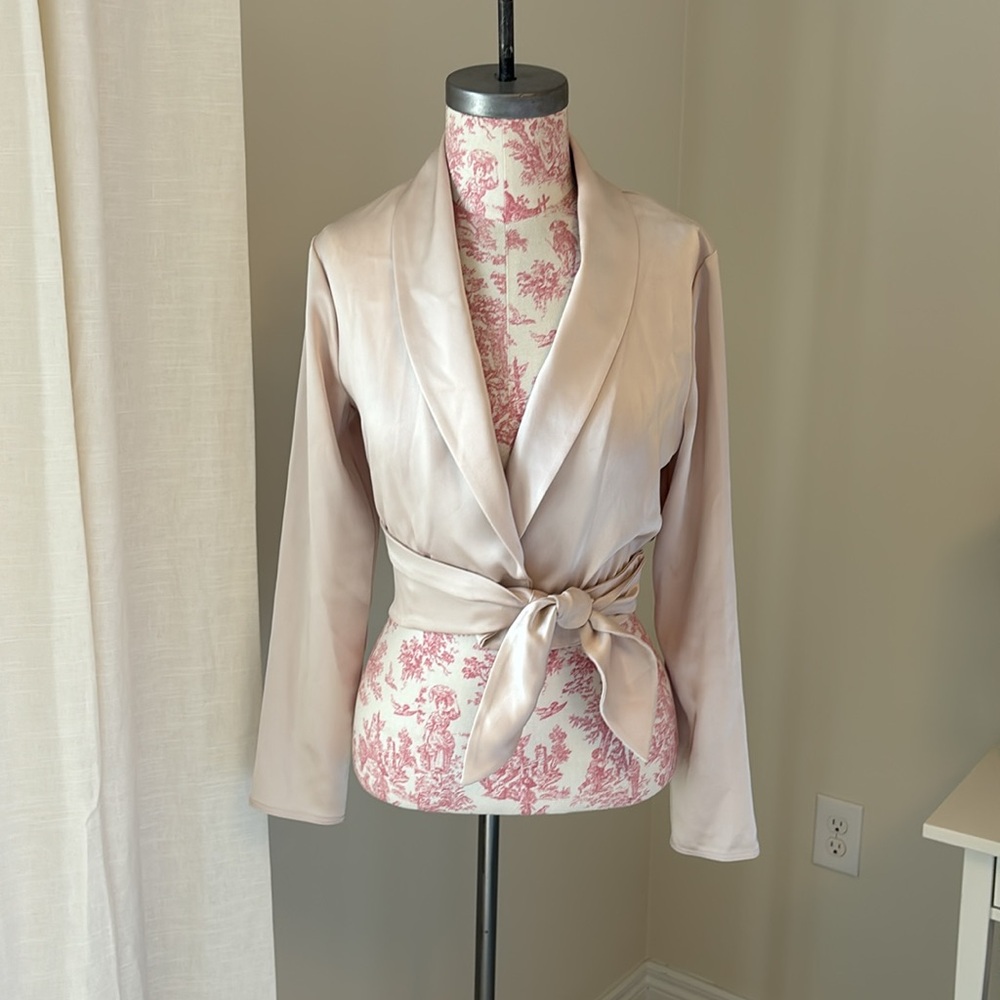 Aritzia Babaton Davis Blouse